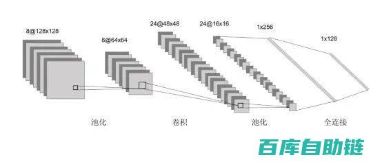 深入了解矩阵号运营策略，助力账号持续增长