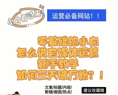从零开始打造专业的直播电商团队岗位架构