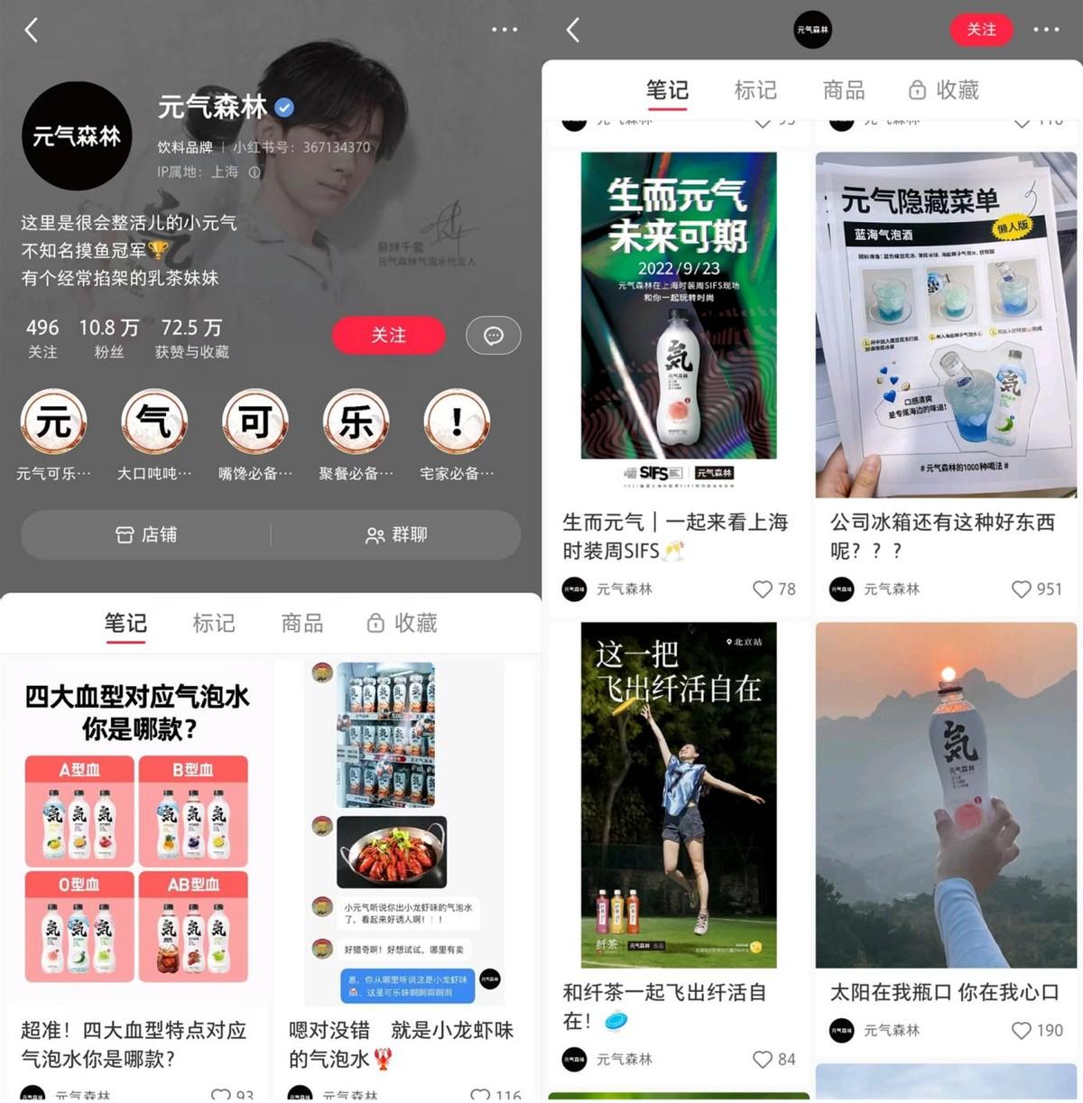 小红书品牌号运营全攻略：从零开始打造品牌影响力