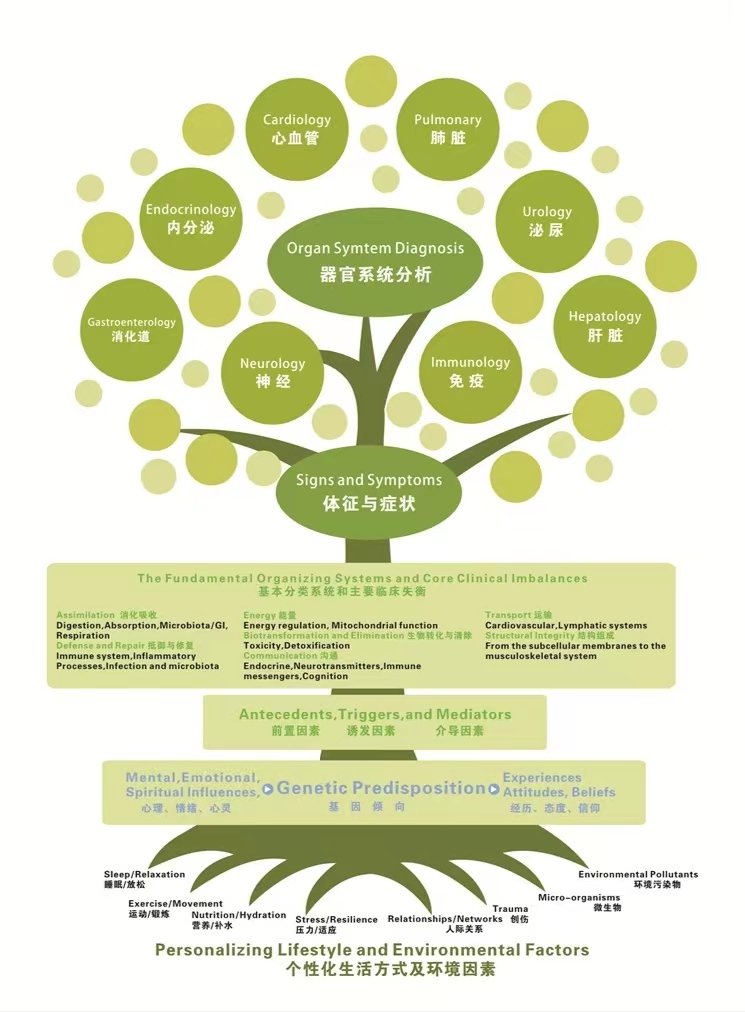 从天电到治疗：探索等离子体医学中的闪电疗法