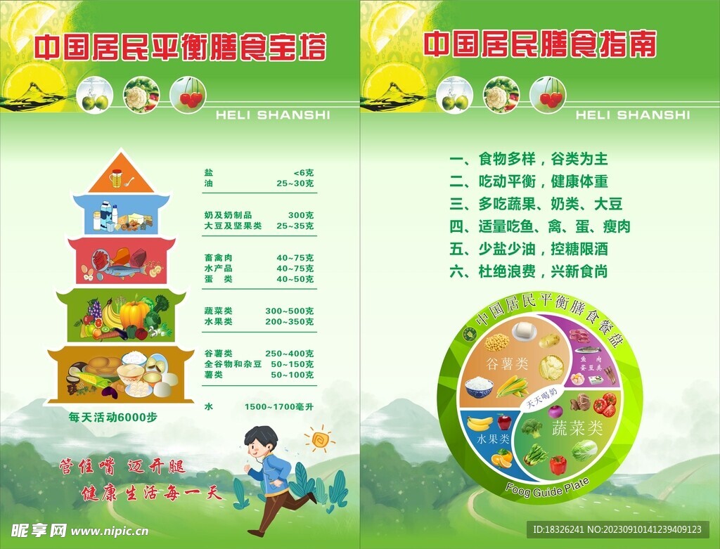 健康饮食指南：每日营养搭配全解析