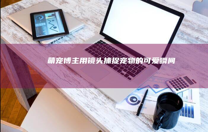 萌宠博主：用镜头捕捉宠物的可爱瞬间
