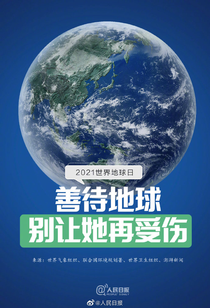 守护地球生灵：动物保护刻不容缓