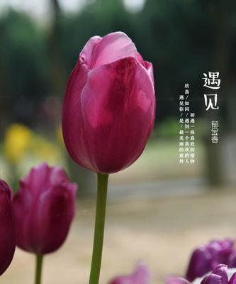 从神秘到揭秘：考古盲盒如何打开尘封的历史宝库