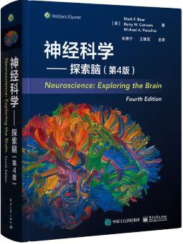 探索脑科学奥秘：新时代的教育革命