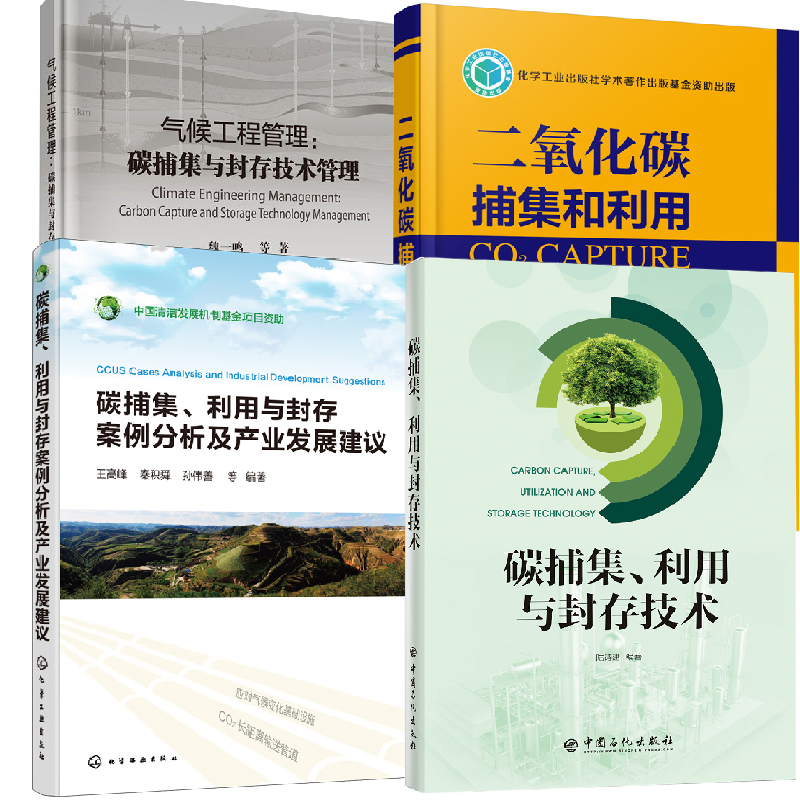 《探索碳捕集封存路径：构建可持续发展的绿色桥梁》