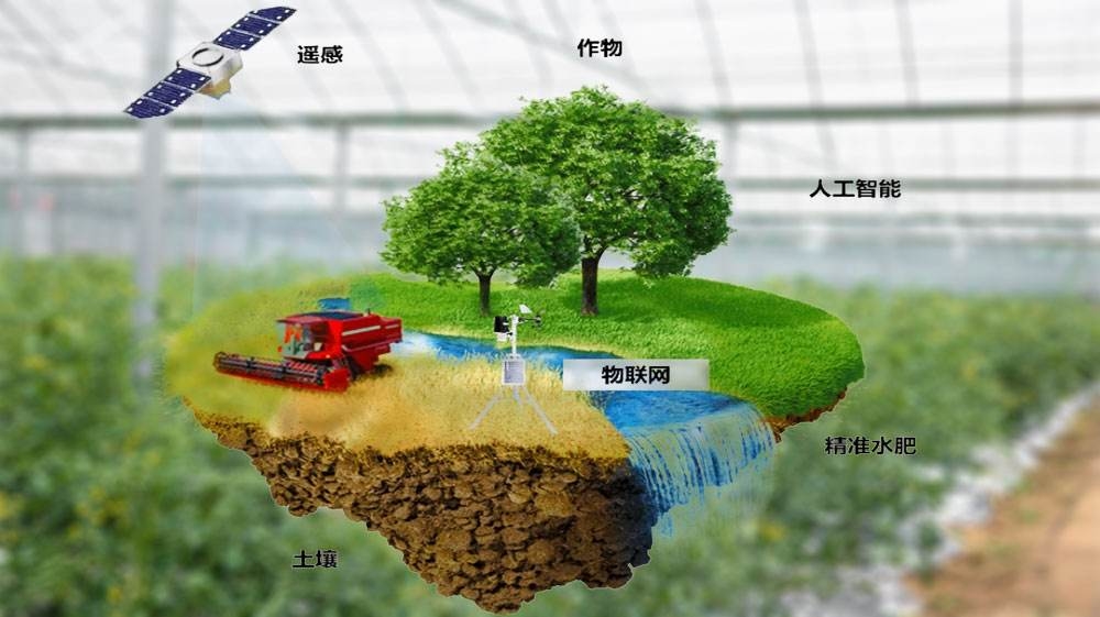 智慧农业新突破：智能灌溉系统如何精准节水增效