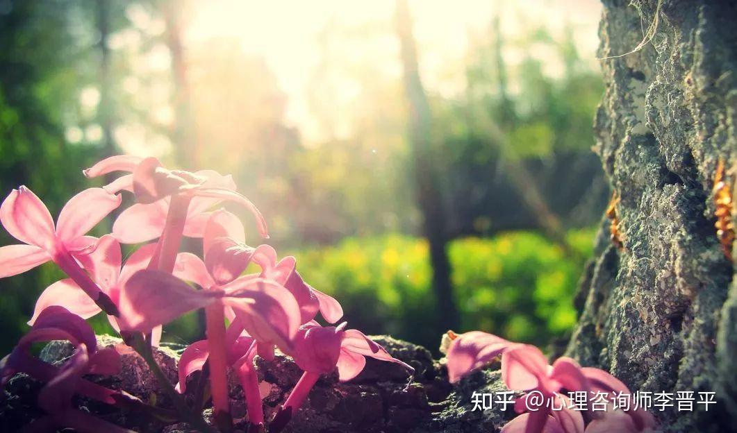 聆听心灵的声音：脑机音乐如何通过解读大脑信号创造独特的听觉体验