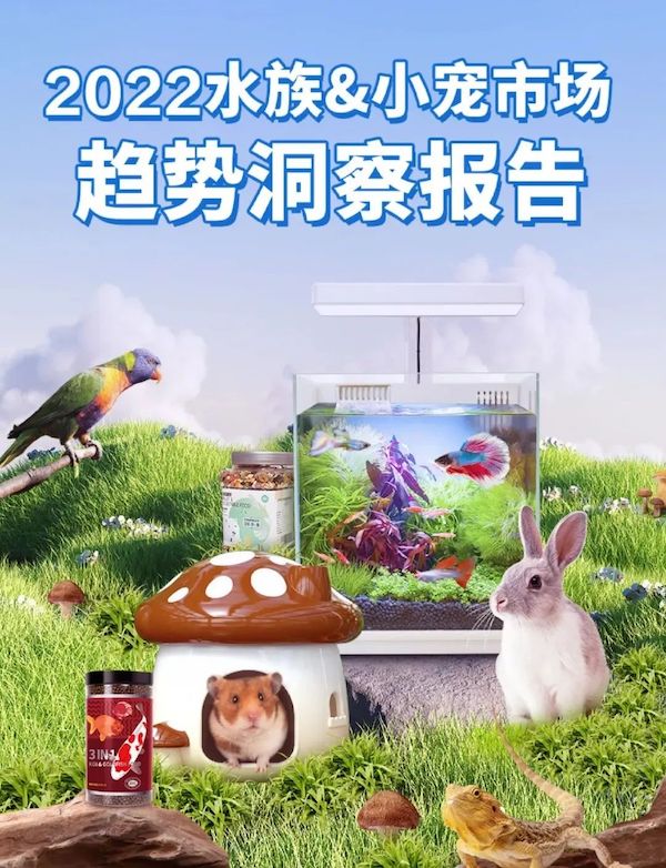 探索未来宠物新选择：虚拟宠物的兴起与魅力