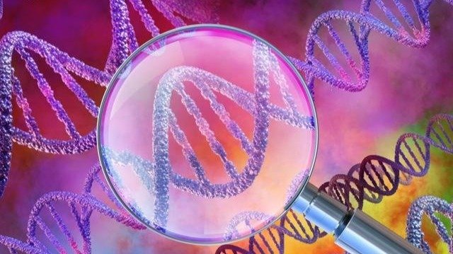 探秘基因身份证：开启个性化医疗与精准健康管理新时代