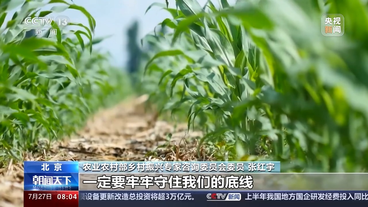农业新革命：