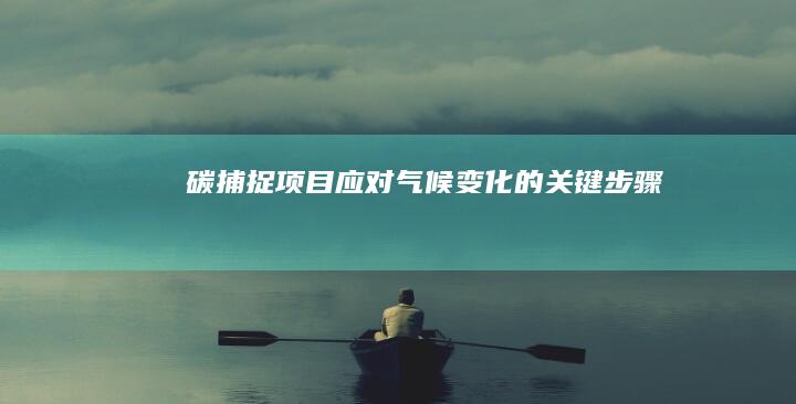 碳捕捉项目：应对气候变化的关键步骤