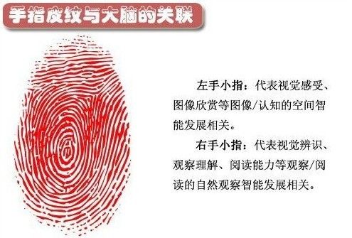 从指纹到面部识别：生物识别技术的革新与发展之路