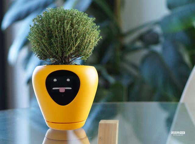 智能花盆：让植物养护变得轻松智能的革命性产品